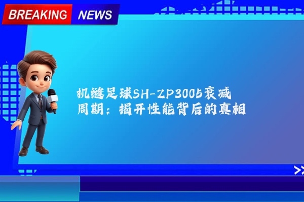 机缝足球SH-ZP3005衰减周期:揭开性能背后的真相