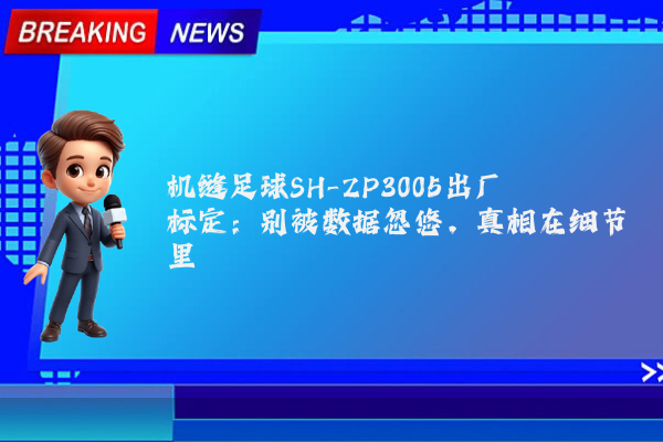 机缝足球SH-ZP3005出厂标定：别被数据忽悠，真相在细节里