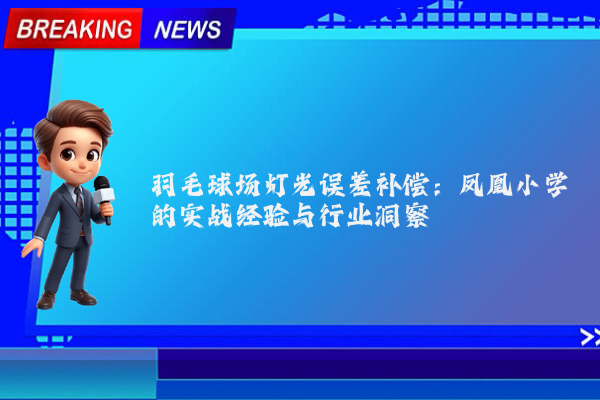 羽毛球场灯光误差补偿：凤凰小学的实战经验与行业洞察