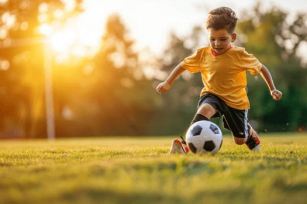 公司简介 - 开云·kaiyun体育（集团）有限公司