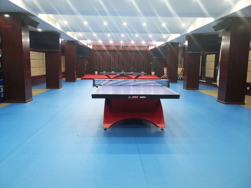 乒乓球场馆庞伯特发球机